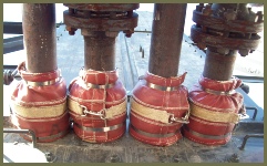coker-seals